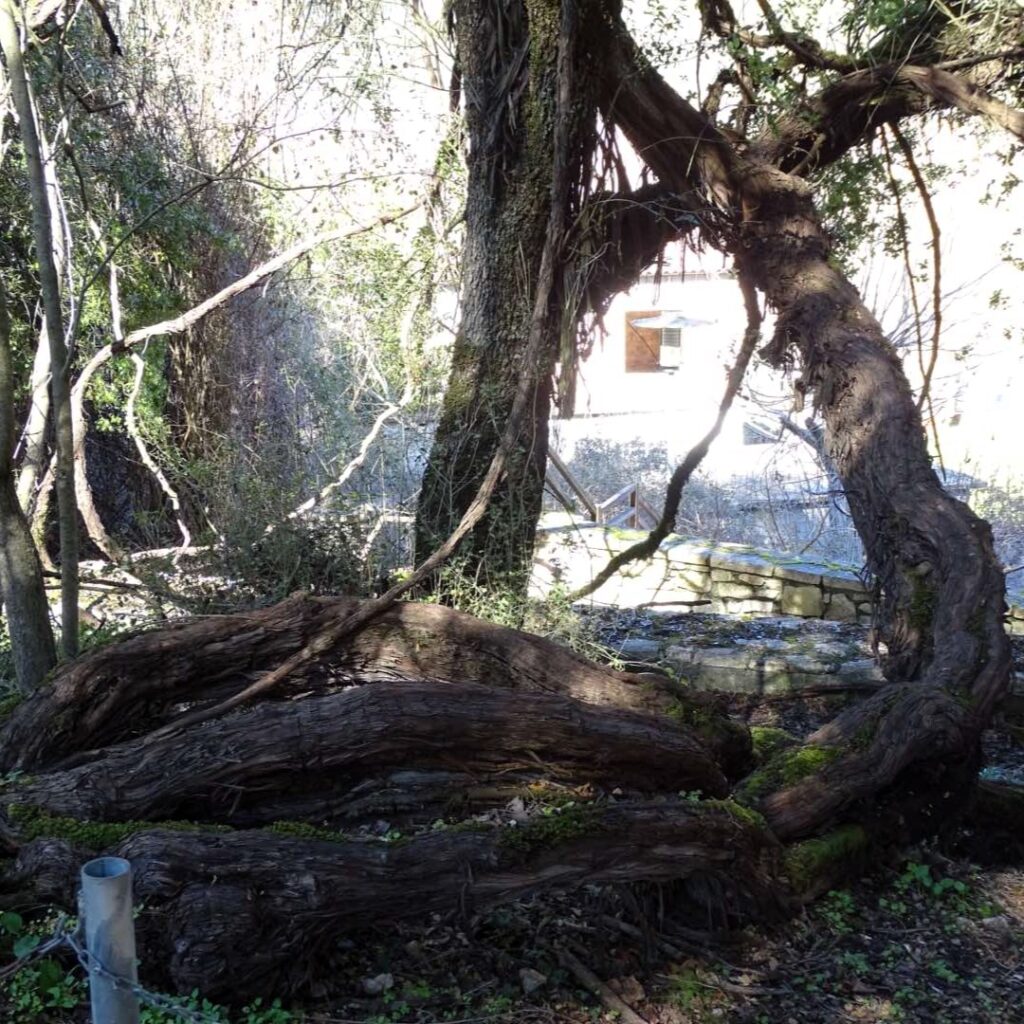 Pausanias_epic tours_1